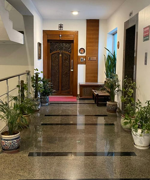 House Painters in South Delhi